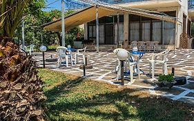Galinis' Sea Front Studios